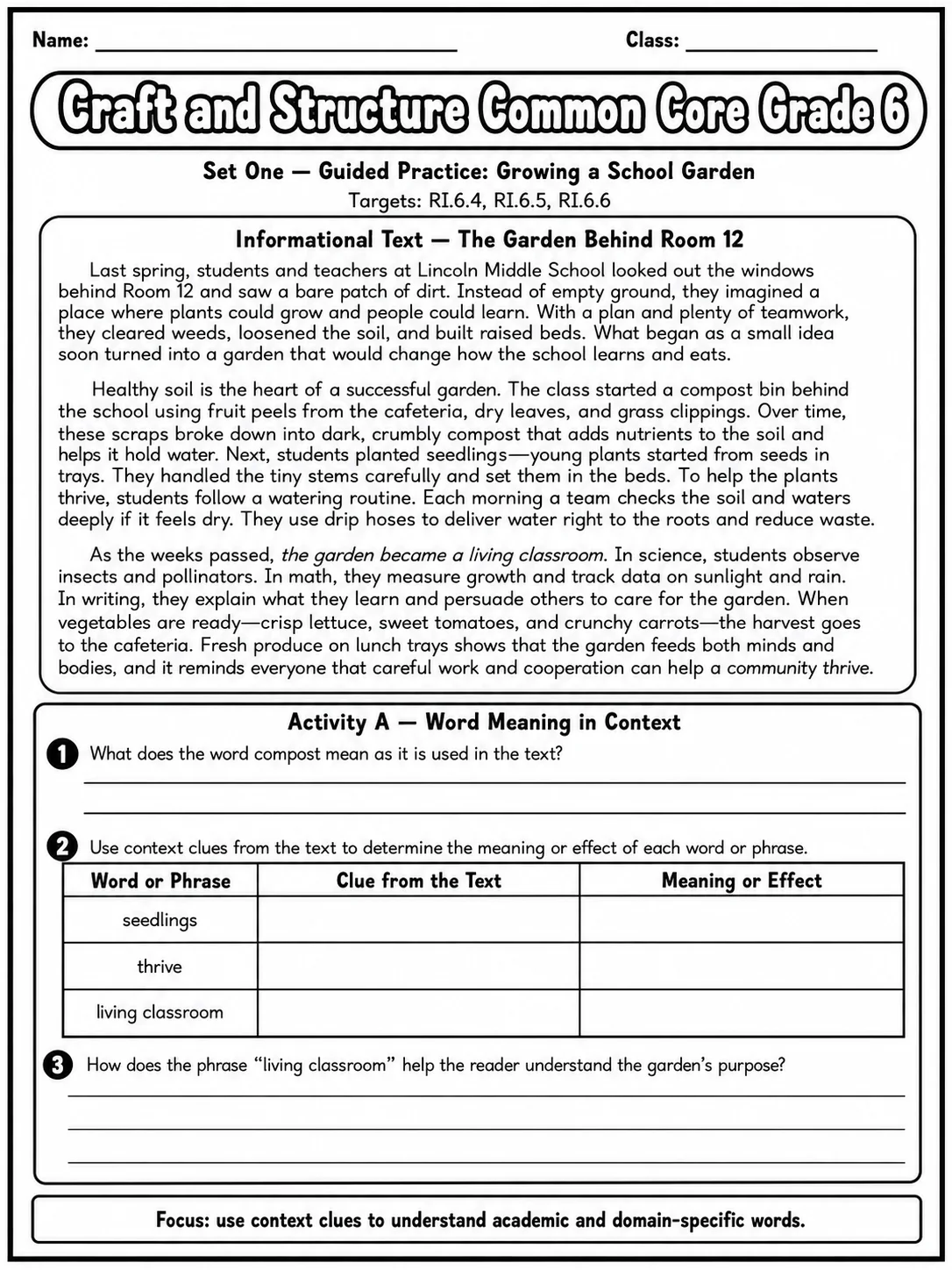 Craft and Structure Common Core Grade 6