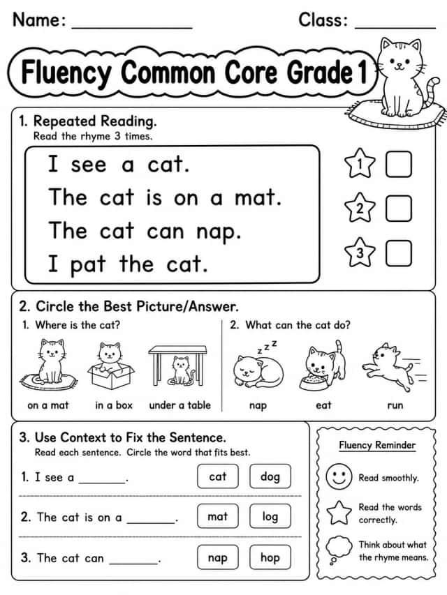 Fluency Common Core Grade 1
