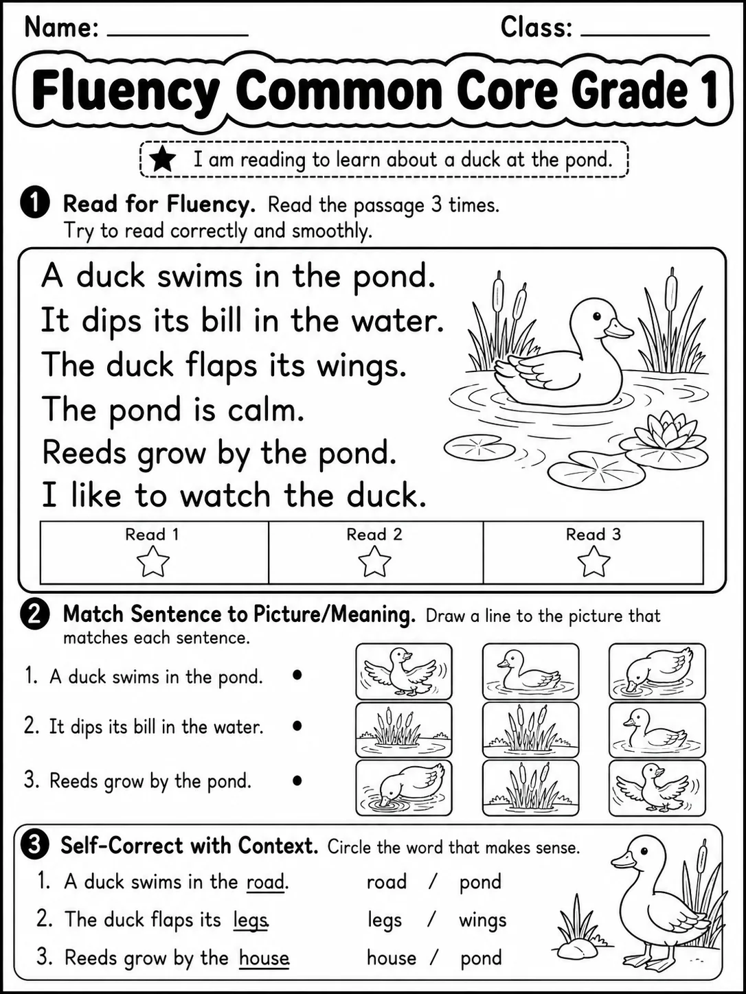Fluency Common Core Grade 1 page 2 printable Common Core ELA worksheet preview