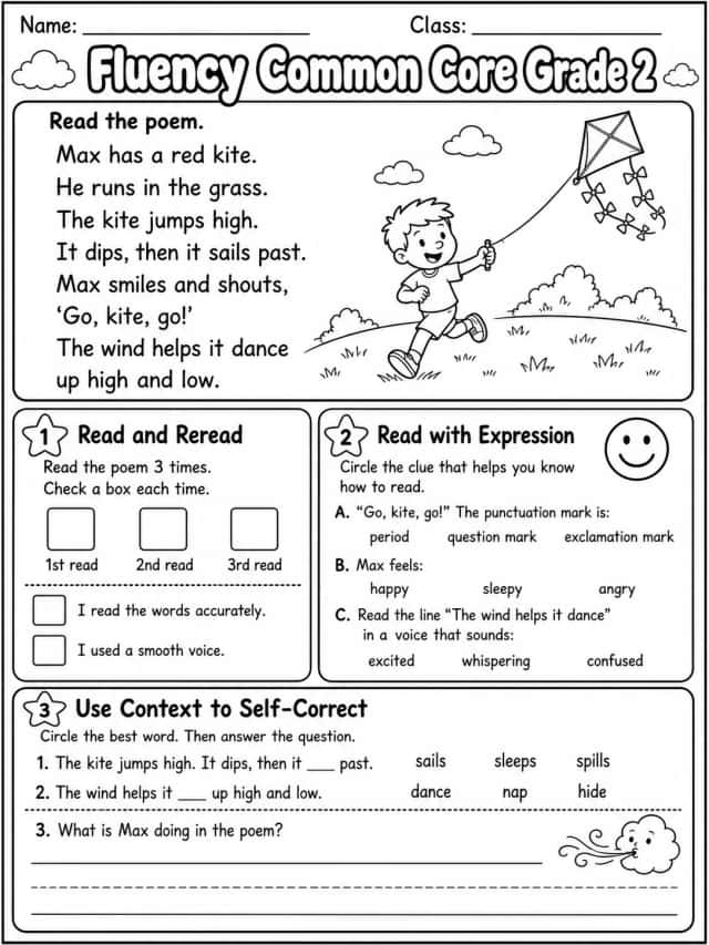 Fluency Common Core Grade 2