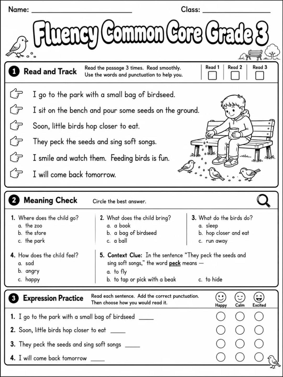 Fluency Common Core Grade 3 printable Common Core ELA Grade 3 worksheet preview from KiwiBee