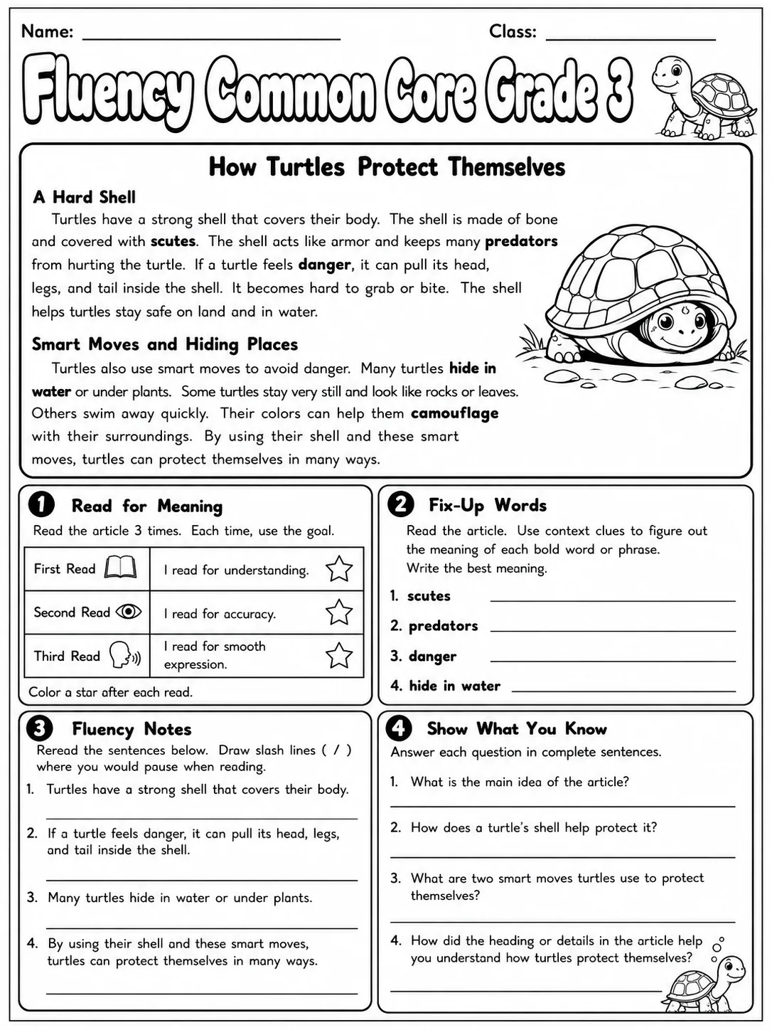 Fluency Common Core Grade 3 page 6 printable Common Core ELA worksheet preview