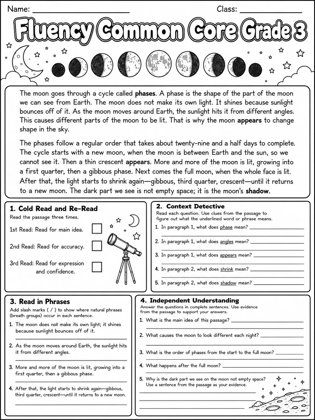 Fluency Common Core Grade 3 page 9 printable Common Core ELA worksheet preview