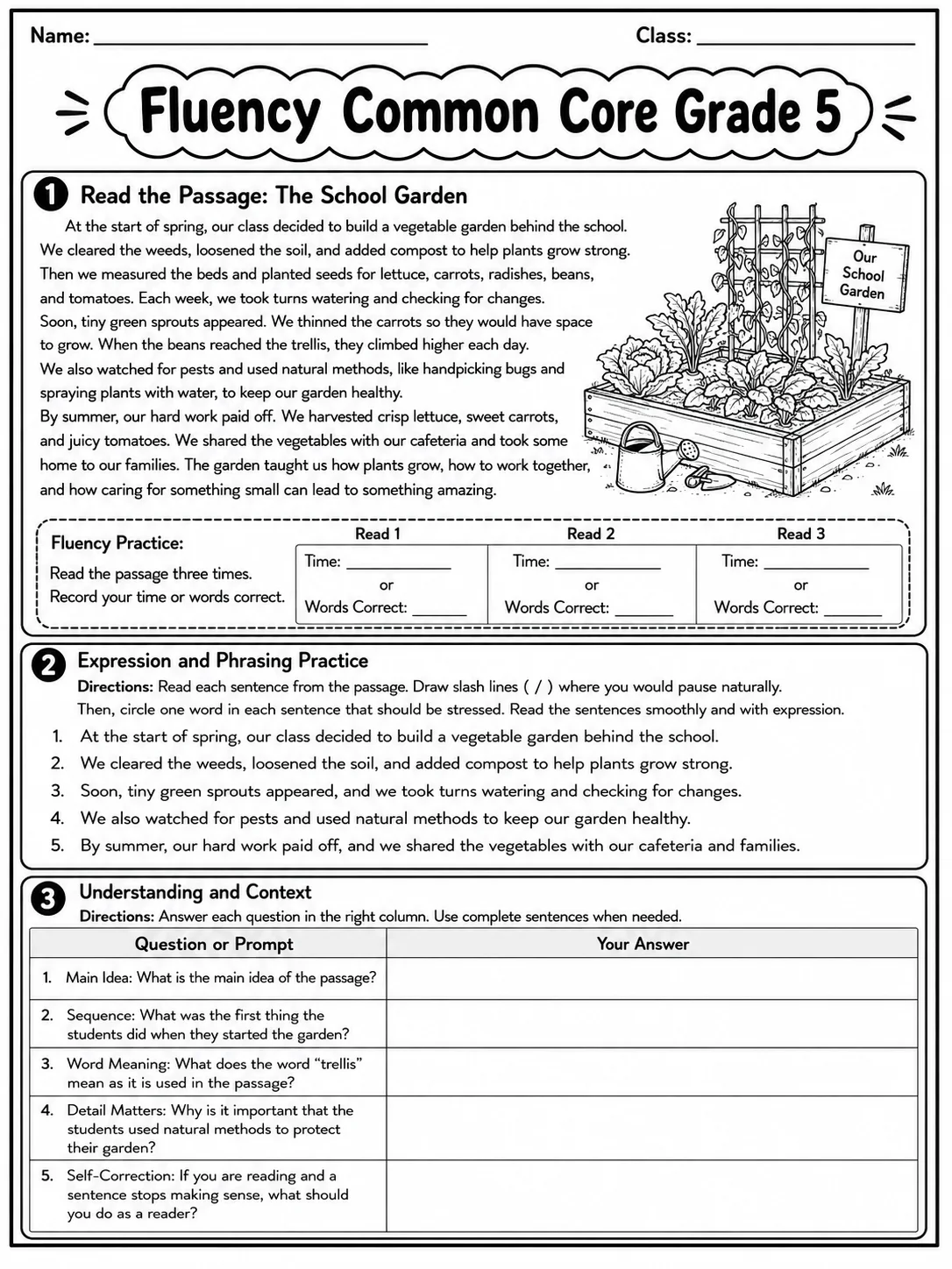 Fluency Common Core Grade 5 page 2 printable Common Core ELA worksheet preview