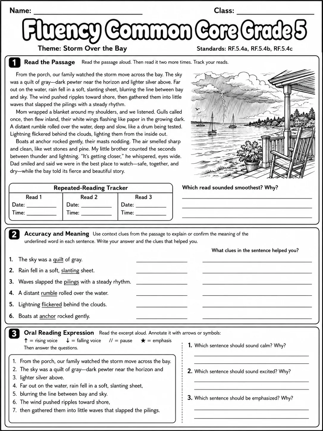 Fluency Common Core Grade 5 page 3 printable Common Core ELA worksheet preview