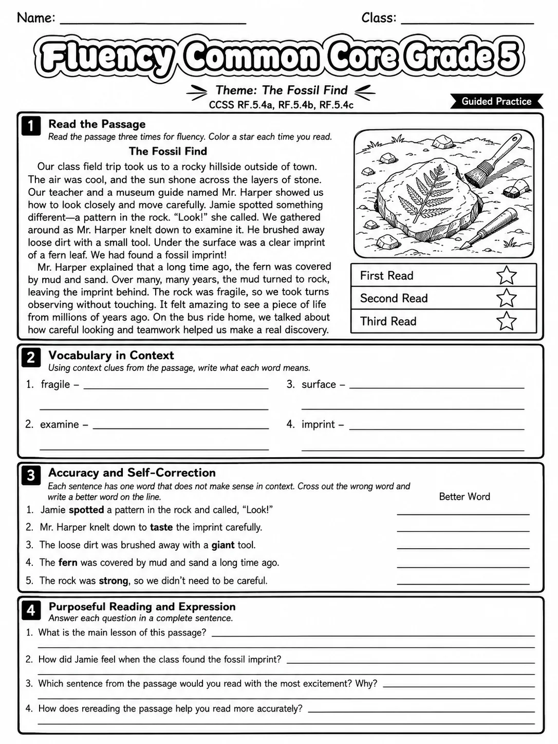 Fluency Common Core Grade 5 page 4 printable Common Core ELA worksheet preview