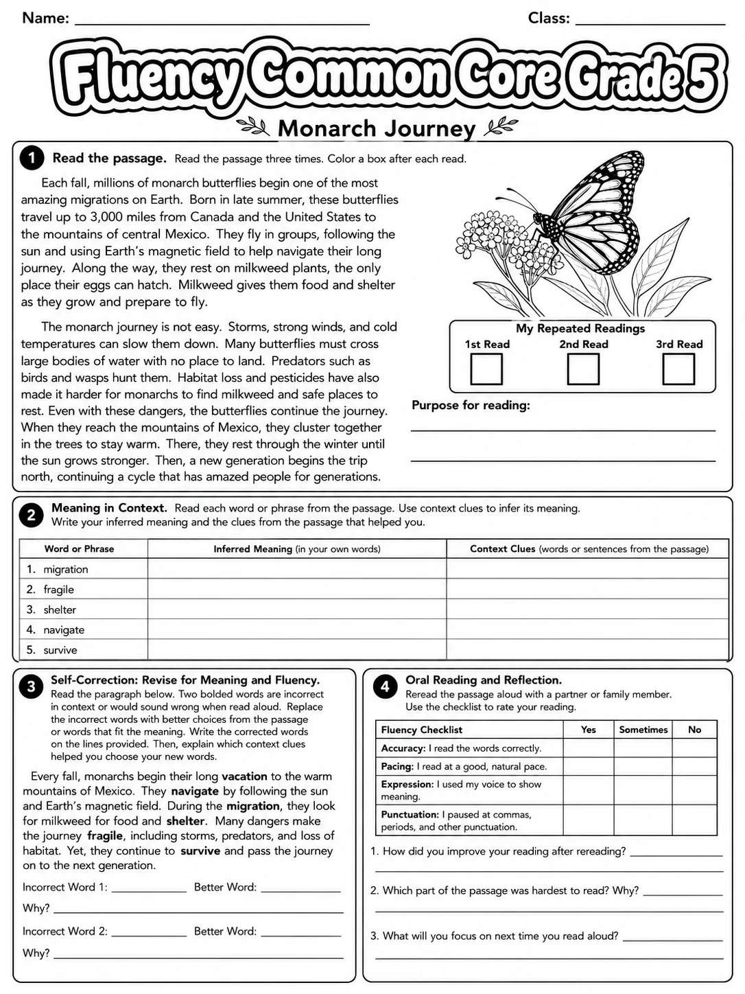 Fluency Common Core Grade 5 page 6 printable Common Core ELA worksheet preview