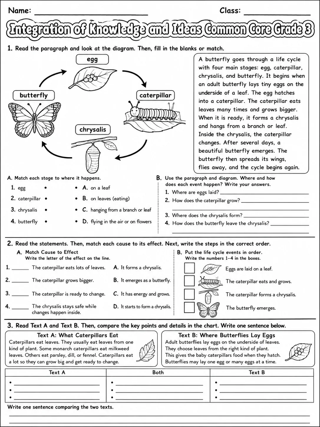 Integration of Knowledge and Ideas Common Core Grade 3 page 3 printable Common Core ELA worksheet preview
