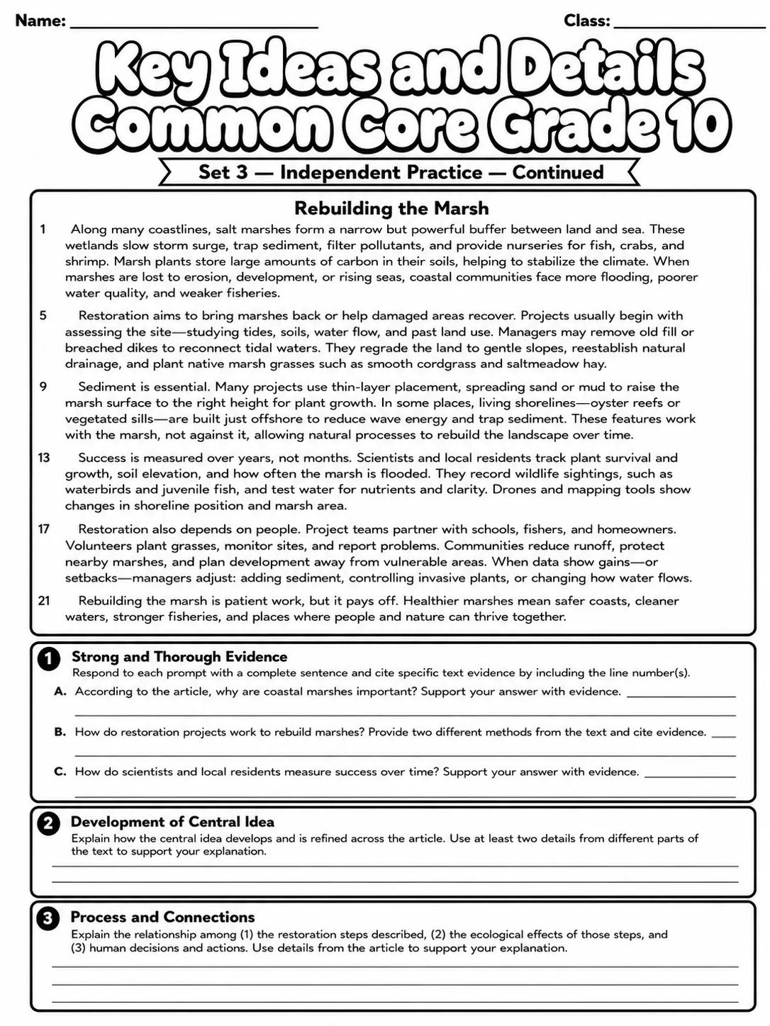Key Ideas and Details Common Core Grade 10 page 8 printable Common Core ELA worksheet preview