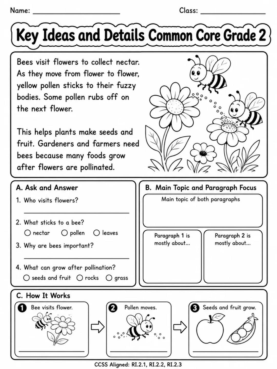 Key Ideas and Details Common Core Grade 2 printable Common Core ELA Grade 2 worksheet preview from KiwiBee