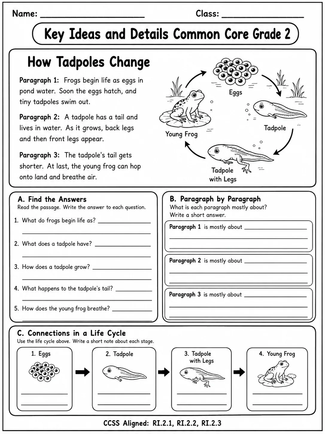 Key Ideas and Details Common Core Grade 2 page 3 printable Common Core ELA worksheet preview