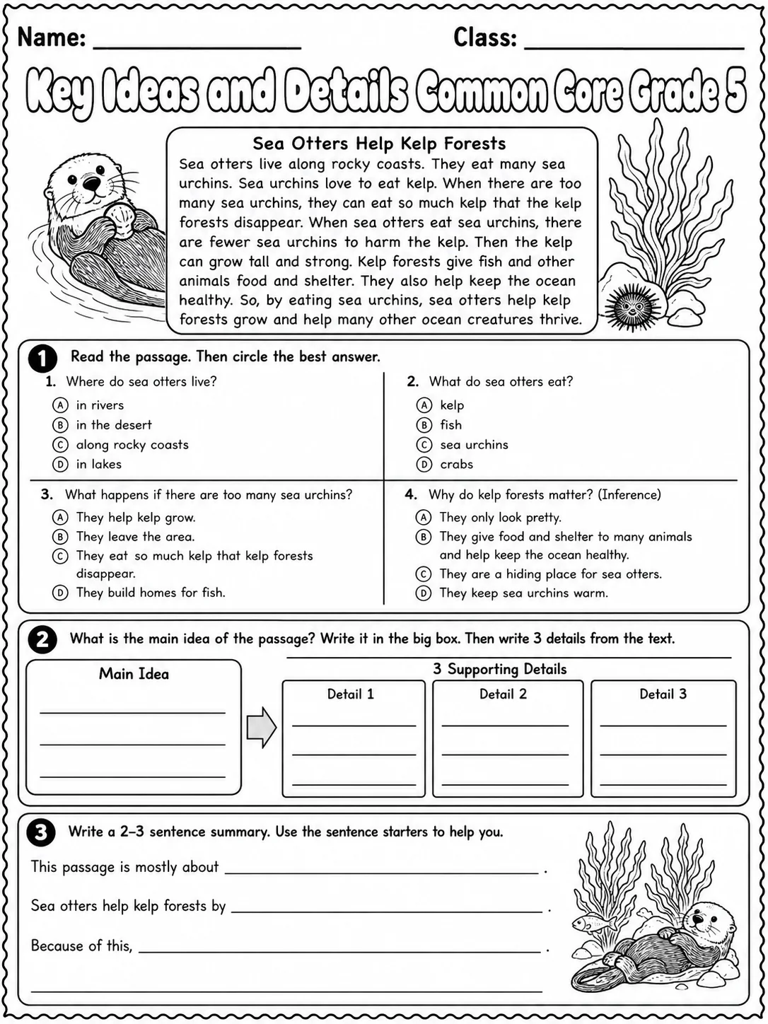 Key Ideas and Details Common Core Grade 5
