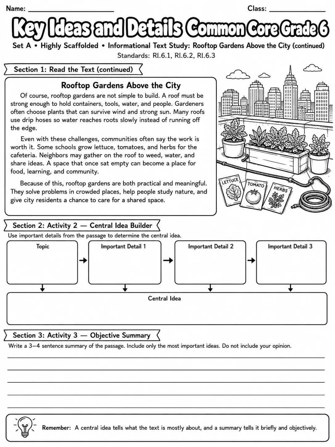 Key Ideas and Details Common Core Grade 6 page 9 printable Common Core ELA worksheet preview
