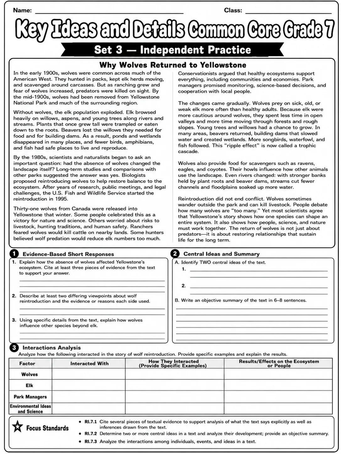 Key Ideas and Details Common Core Grade 7 page 7 printable Common Core ELA worksheet preview