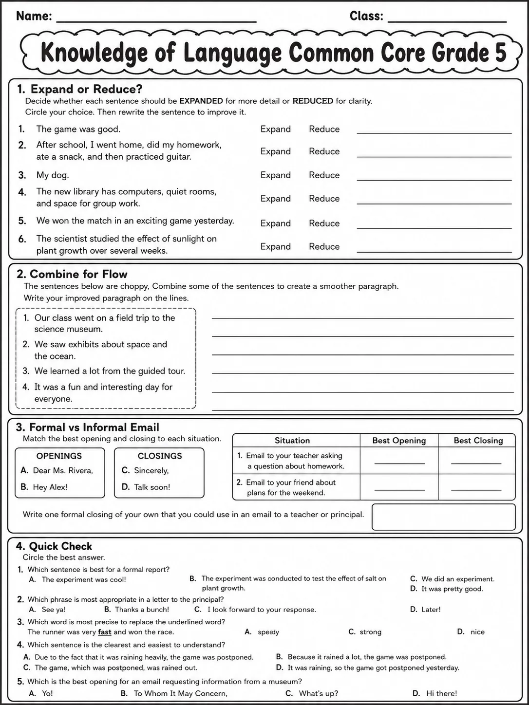 Knowledge of Language Common Core Grade 5 page 4 printable Common Core ELA worksheet preview