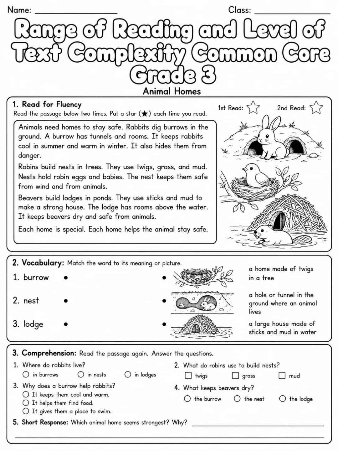 Range of Reading and Level of Text Complexity Common Core Grade 3 printable Common Core ELA Grade 3 worksheet preview from KiwiBee