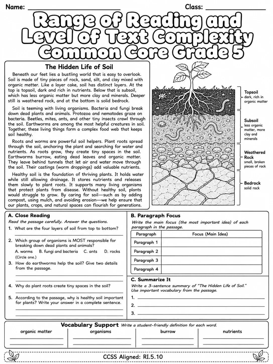 Range of Reading and Level of Text Complexity Common Core Grade 5 page 5 printable Common Core ELA worksheet preview