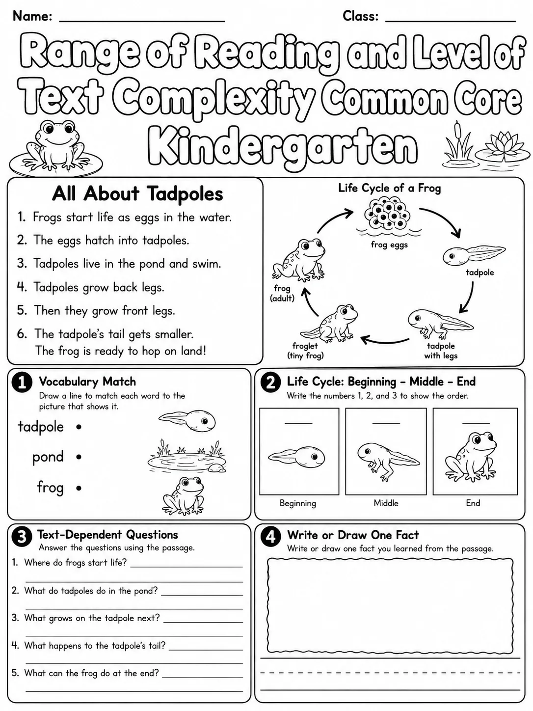Range of Reading and Level of Text Complexity Common Core Kindergarten page 9 printable Common Core ELA worksheet preview