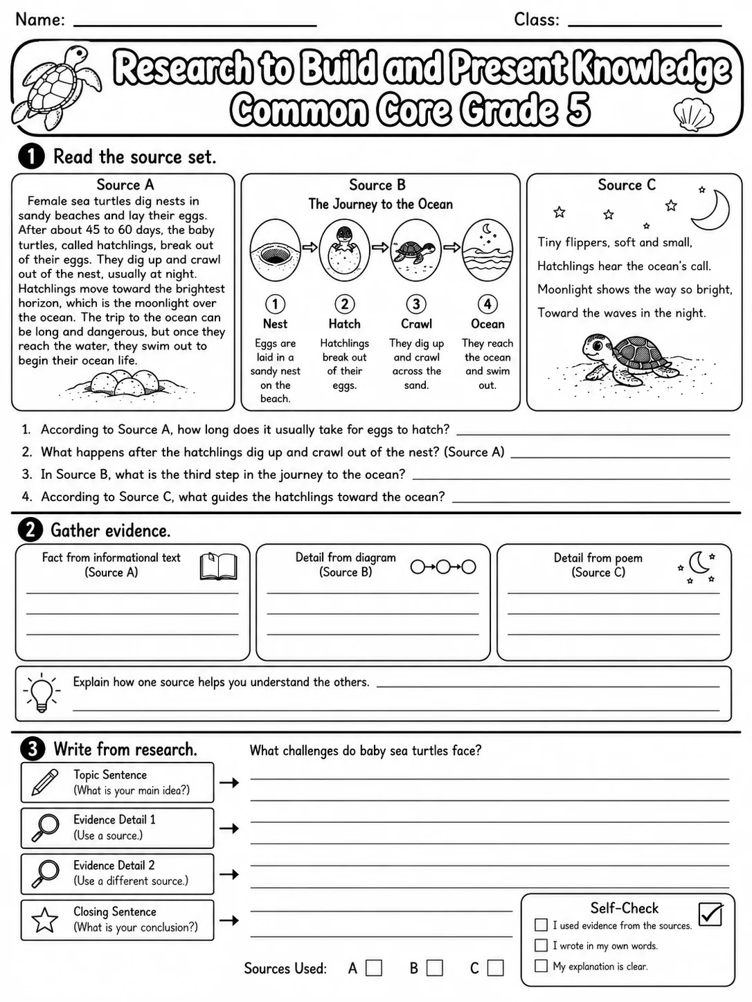 Research to Build and Present Knowledge Common Core Grade 5 page 3 printable Common Core ELA worksheet preview