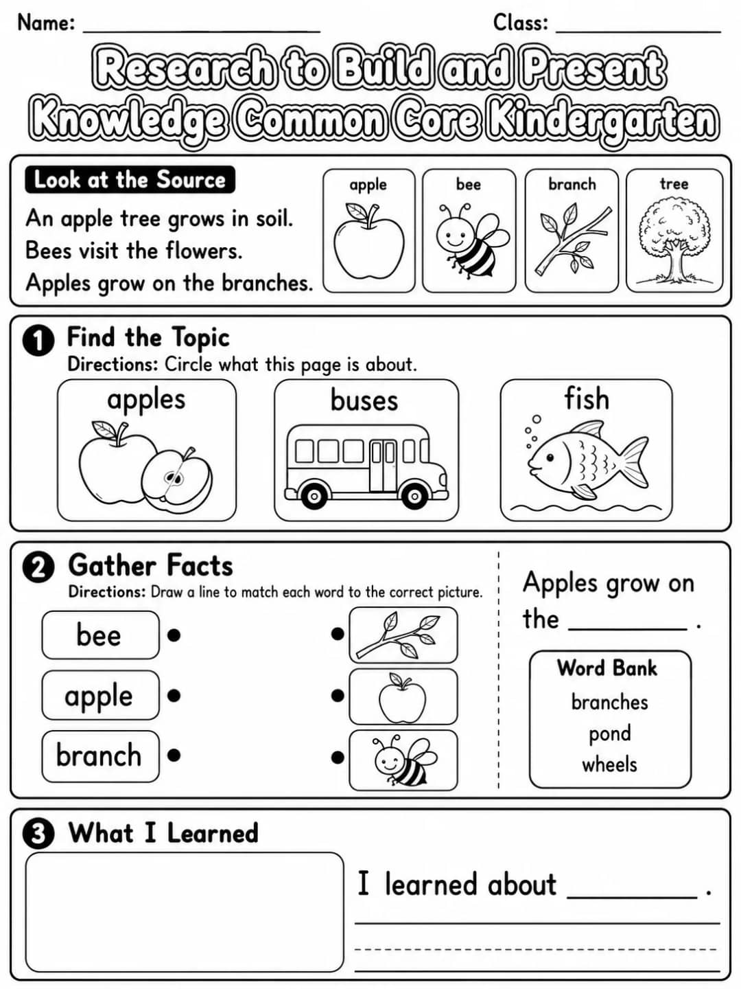 Research to Build and Present Knowledge Common Core Kindergarten printable Common Core ELA Kindergarten worksheet preview from KiwiBee