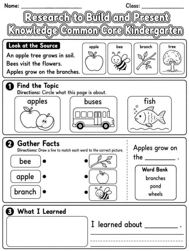Research to Build and Present Knowledge Common Core Kindergarten