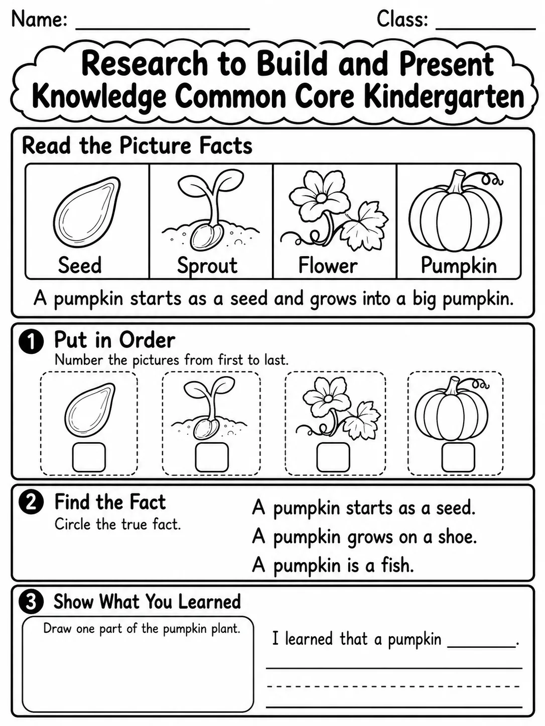 Research to Build and Present Knowledge Common Core Kindergarten page 3 printable Common Core ELA worksheet preview