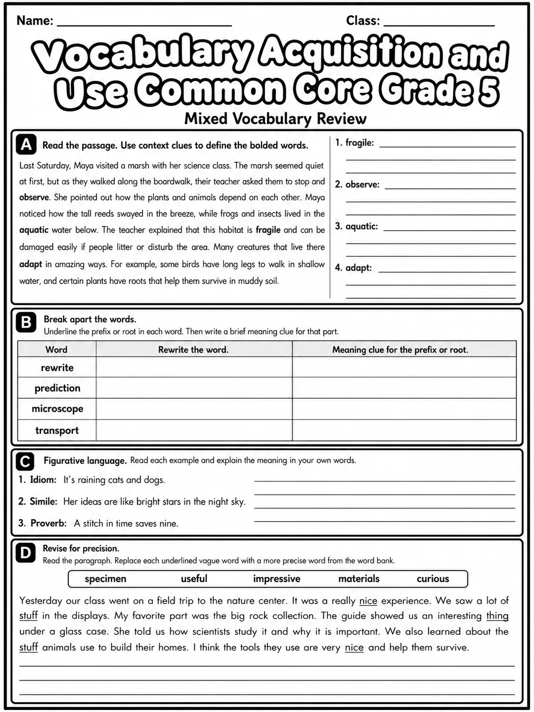 Vocabulary Acquisition and Use Common Core Grade 5 page 8 printable Common Core ELA worksheet preview