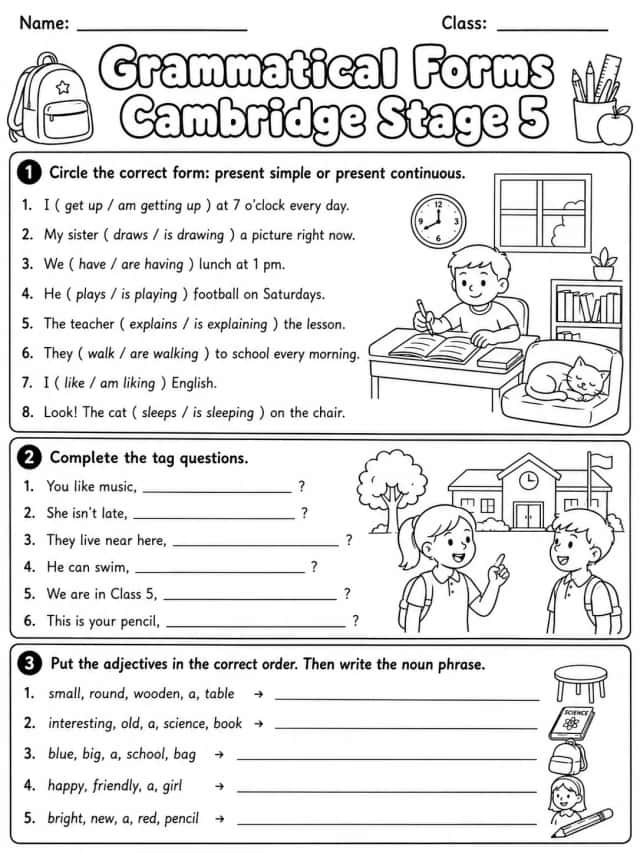 Grammatical Forms Cambridge Stage 5