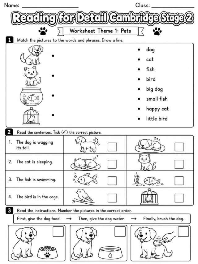 Reading for Detail Cambridge Stage 2