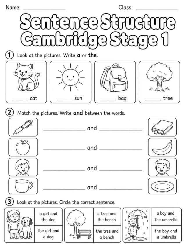 Sentence Structure Cambridge Stage 1