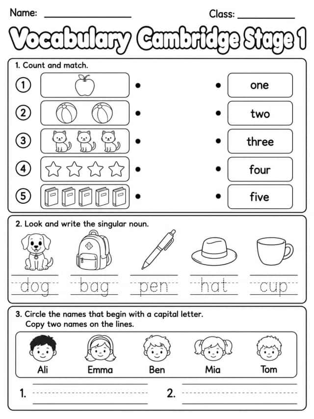 Vocabulary Cambridge Stage 1