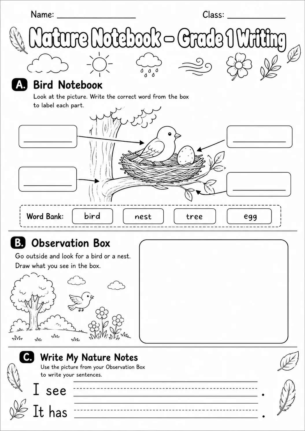Nature Notebook Writing Worksheet Pack page 6 preview