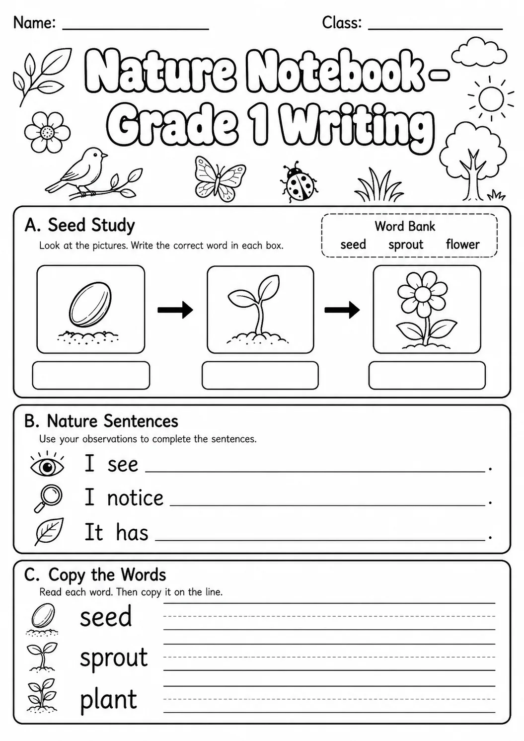 Nature Notebook Writing Worksheet Pack page 7 preview