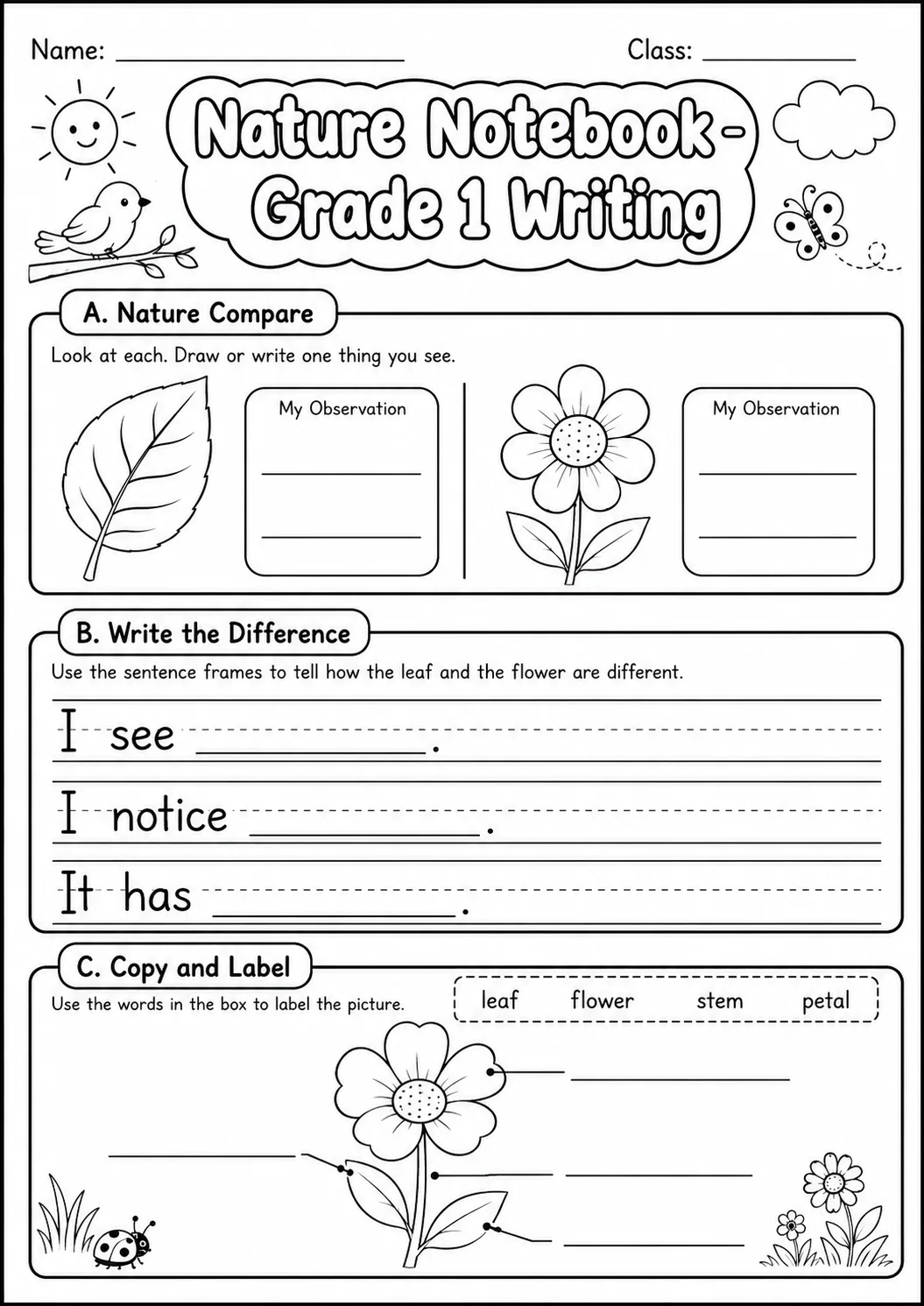 Nature Notebook Writing Worksheet Pack page 8 preview