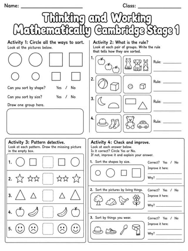 Thinking and Working Mathematically Cambridge Stage 1