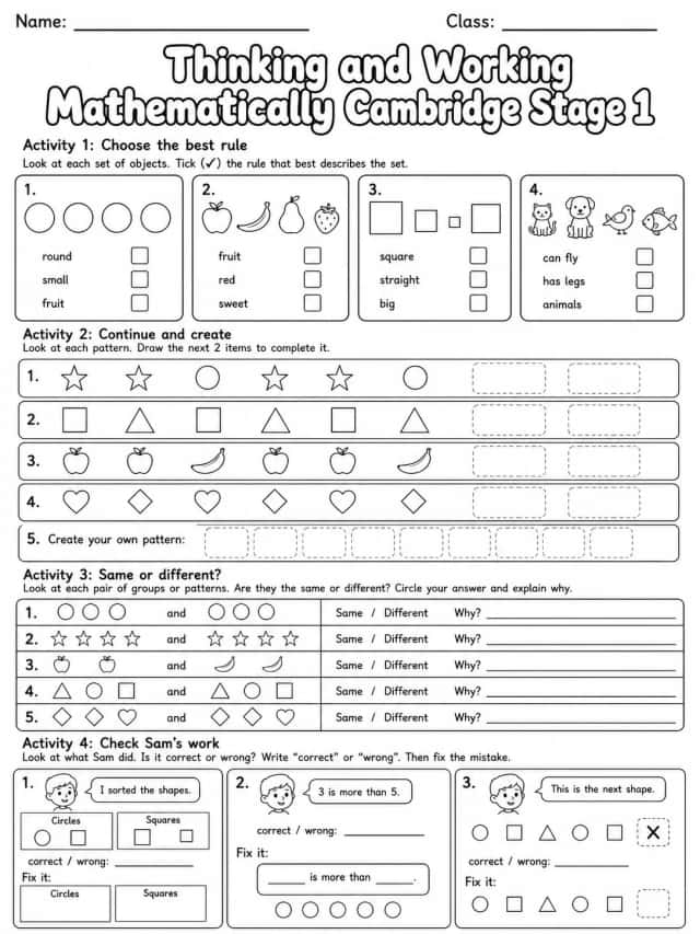 Thinking and Working Mathematically Cambridge Stage 1