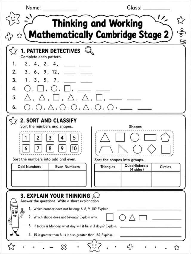 Thinking and Working Mathematically Cambridge Stage 2