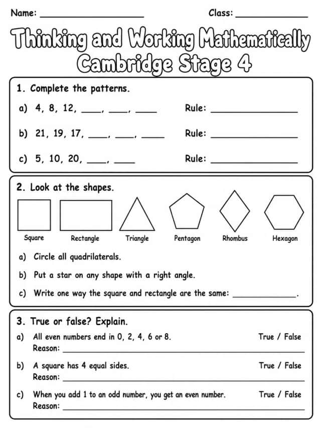 Thinking and Working Mathematically Cambridge Stage 4