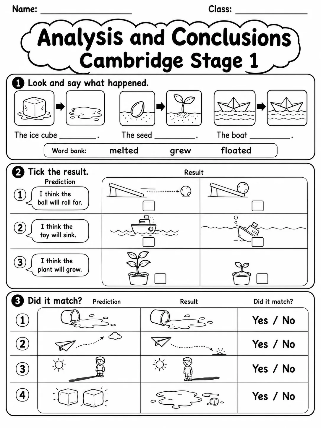 Analysis and Conclusions Cambridge Stage 1 printable Cambridge Primary Science Stage 1 worksheet preview from KiwiBee