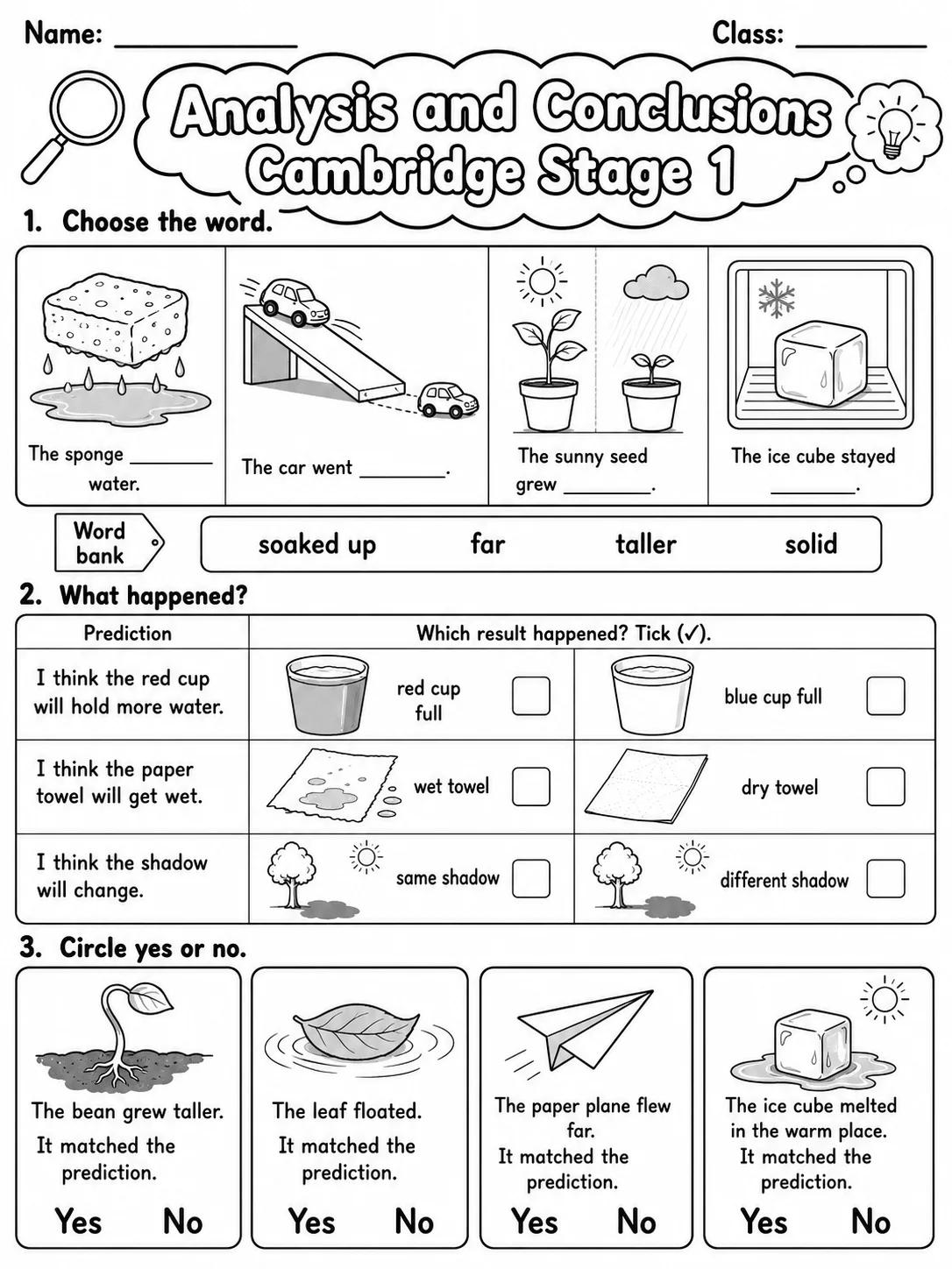 Analysis and Conclusions Cambridge Stage 1 page 2 printable Cambridge science worksheet preview