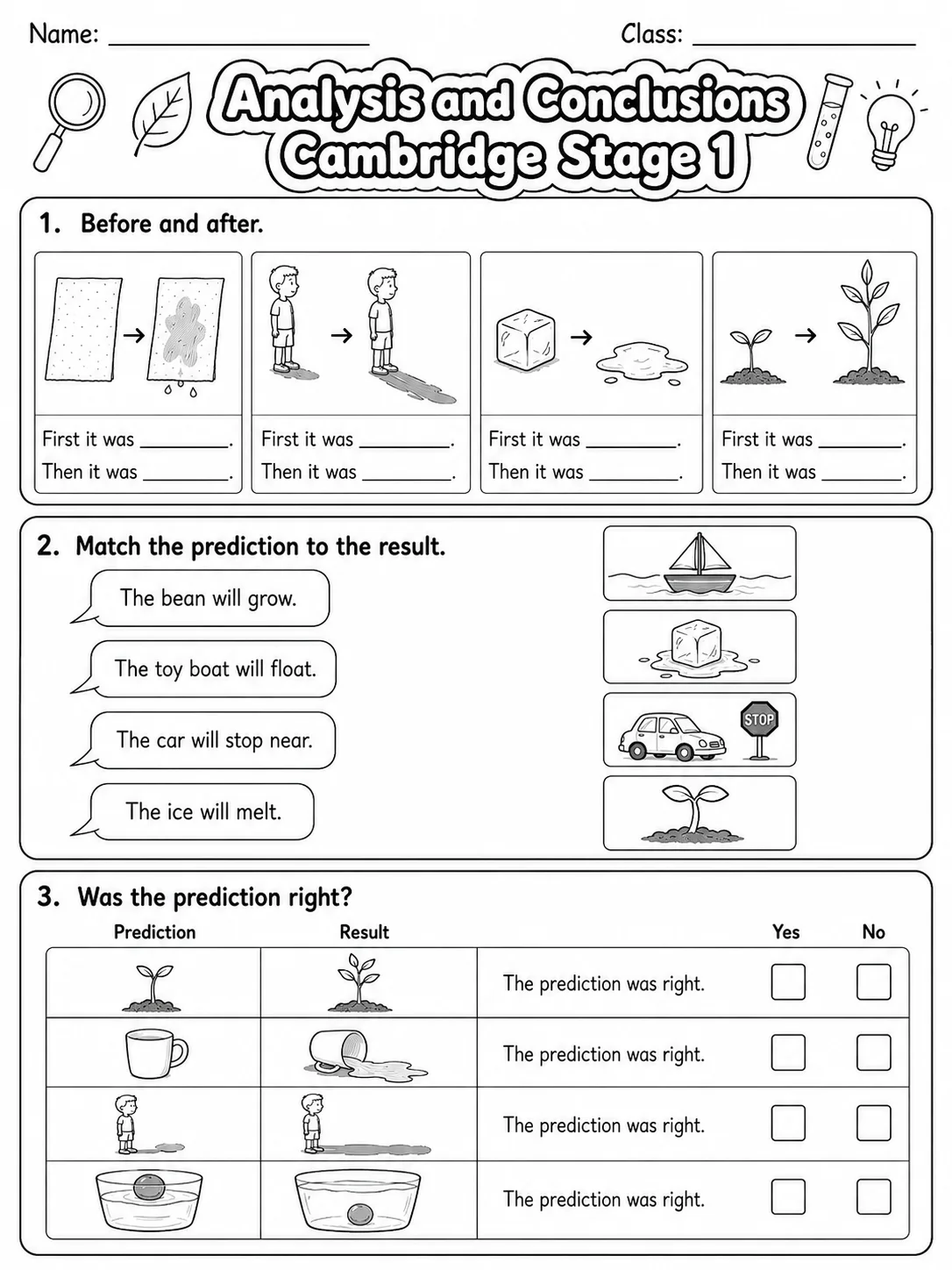 Analysis and Conclusions Cambridge Stage 1 page 3 printable Cambridge science worksheet preview