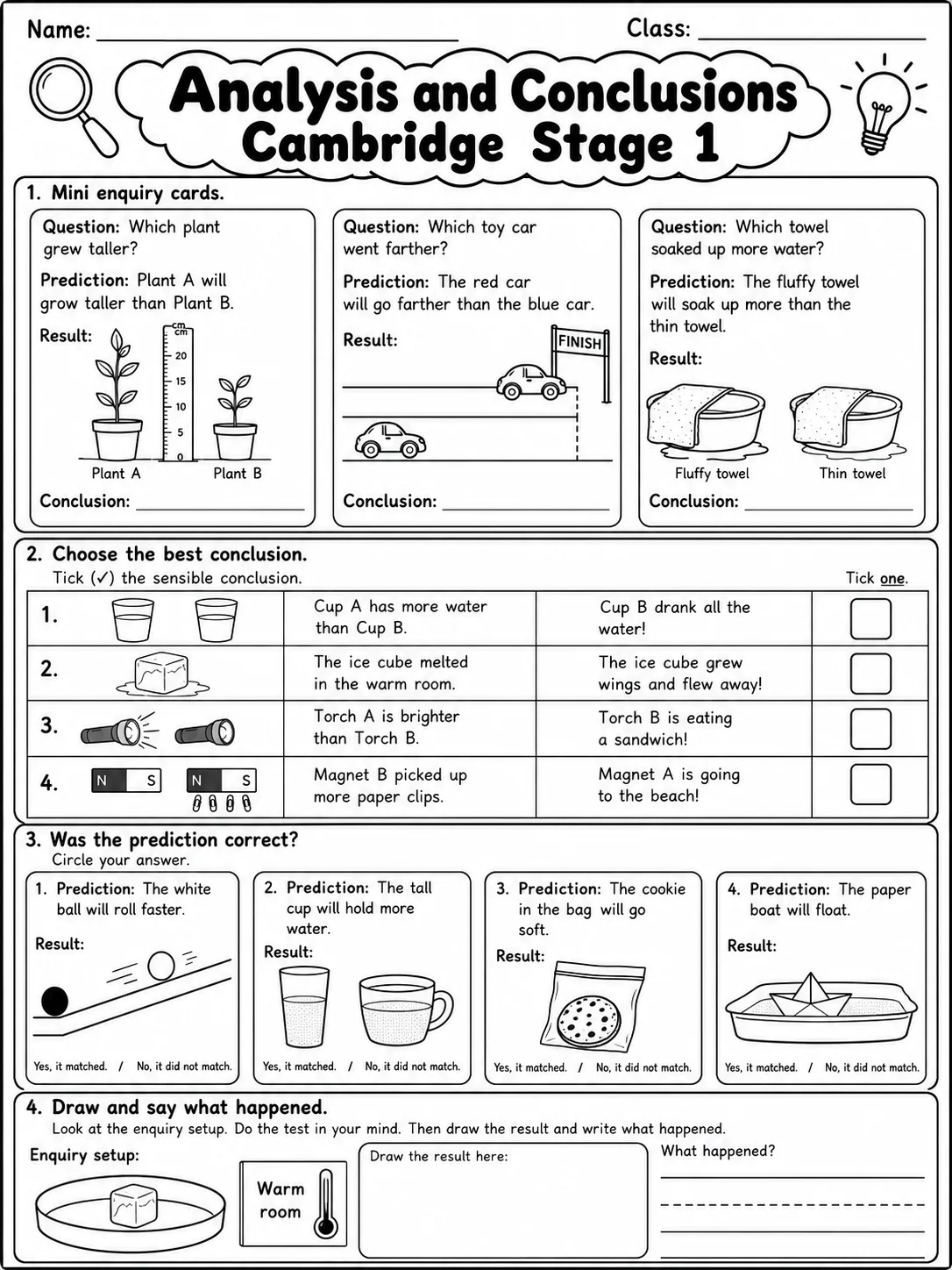 Analysis and Conclusions Cambridge Stage 1 page 8 printable Cambridge science worksheet preview