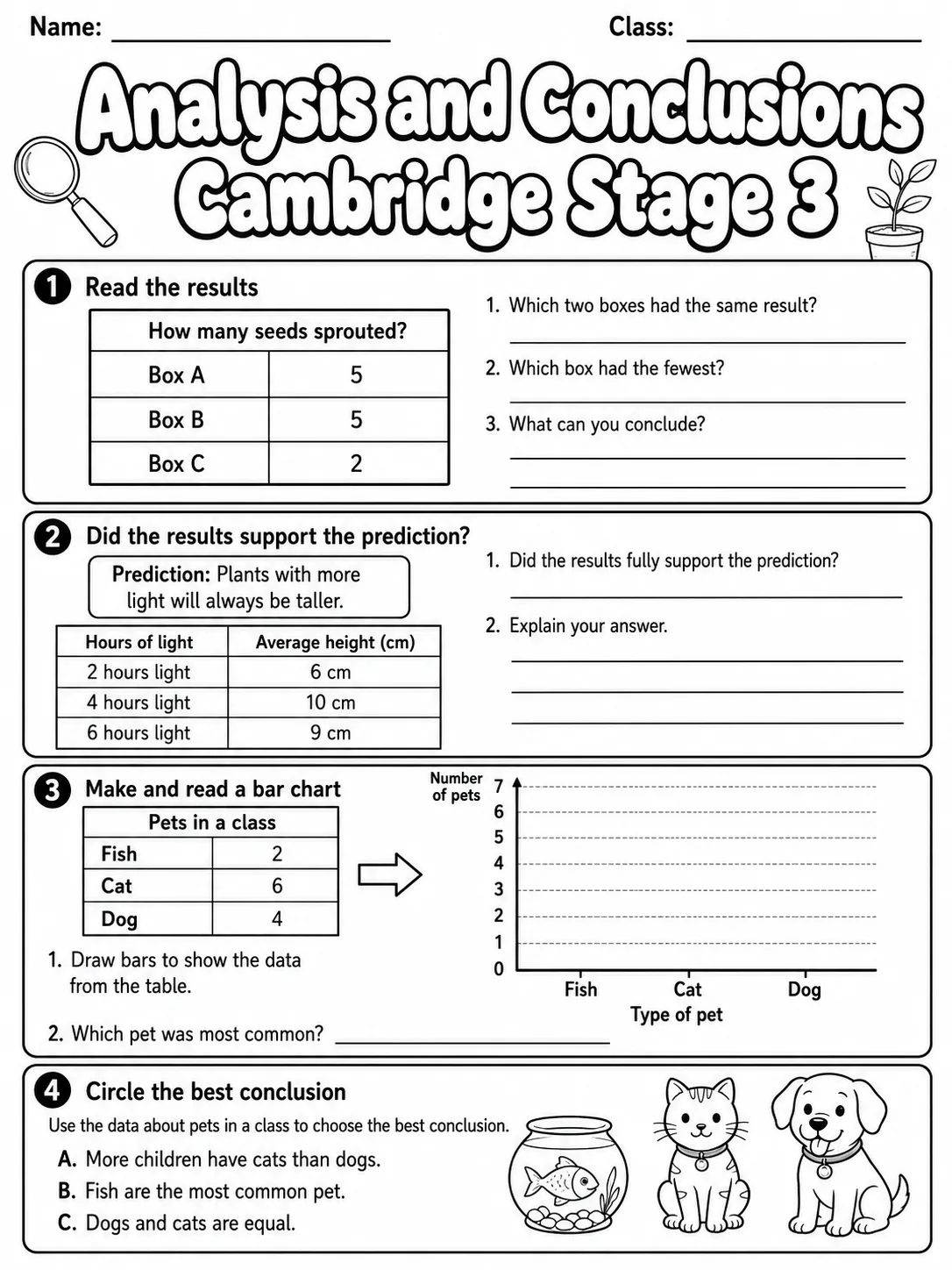 Analysis and Conclusions Cambridge Stage 3 page 7 printable Cambridge science worksheet preview