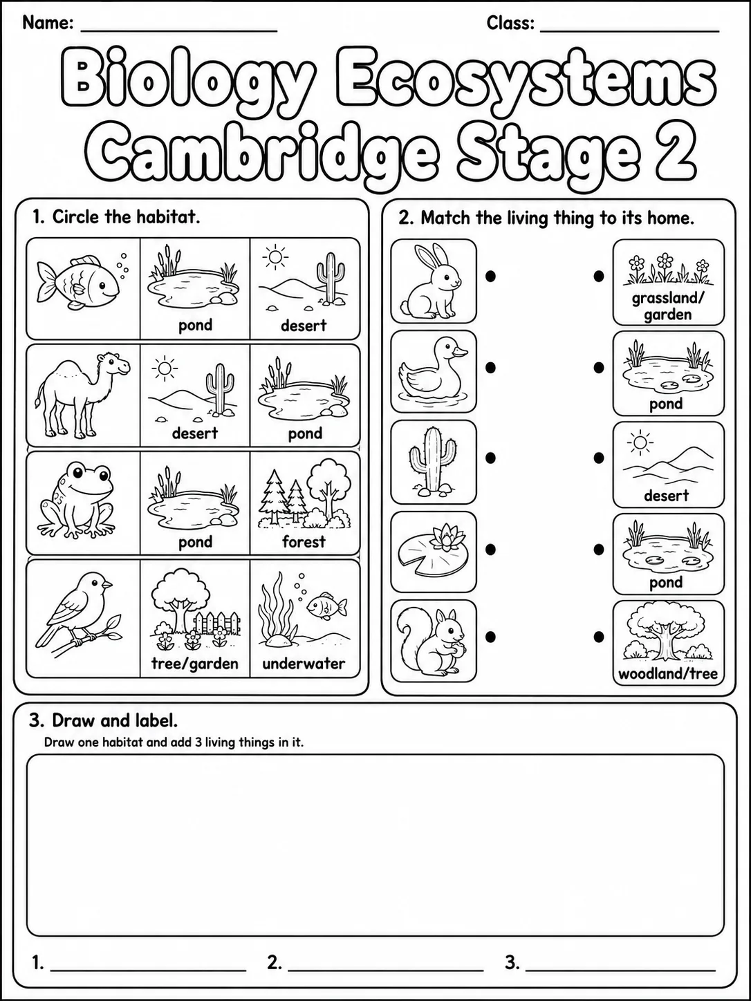 Biology Ecosystems Cambridge Stage 2 printable Cambridge Primary Science Stage 2 worksheet preview from KiwiBee