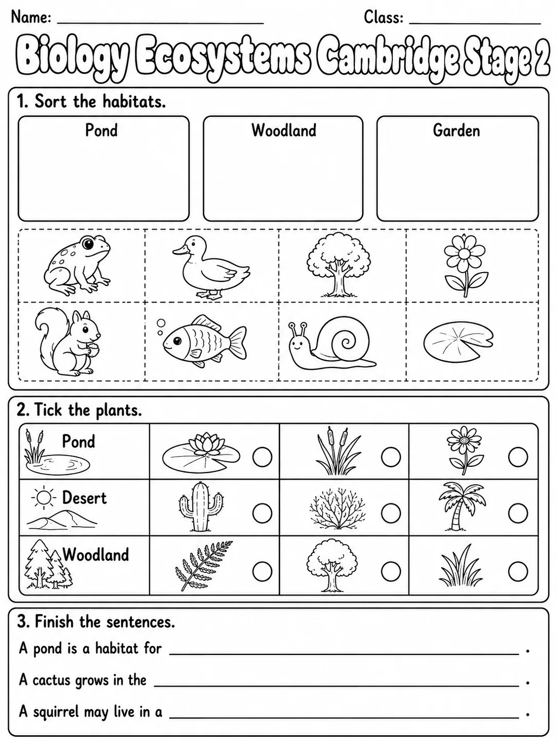 Biology Ecosystems Cambridge Stage 2 page 2 printable Cambridge science worksheet preview
