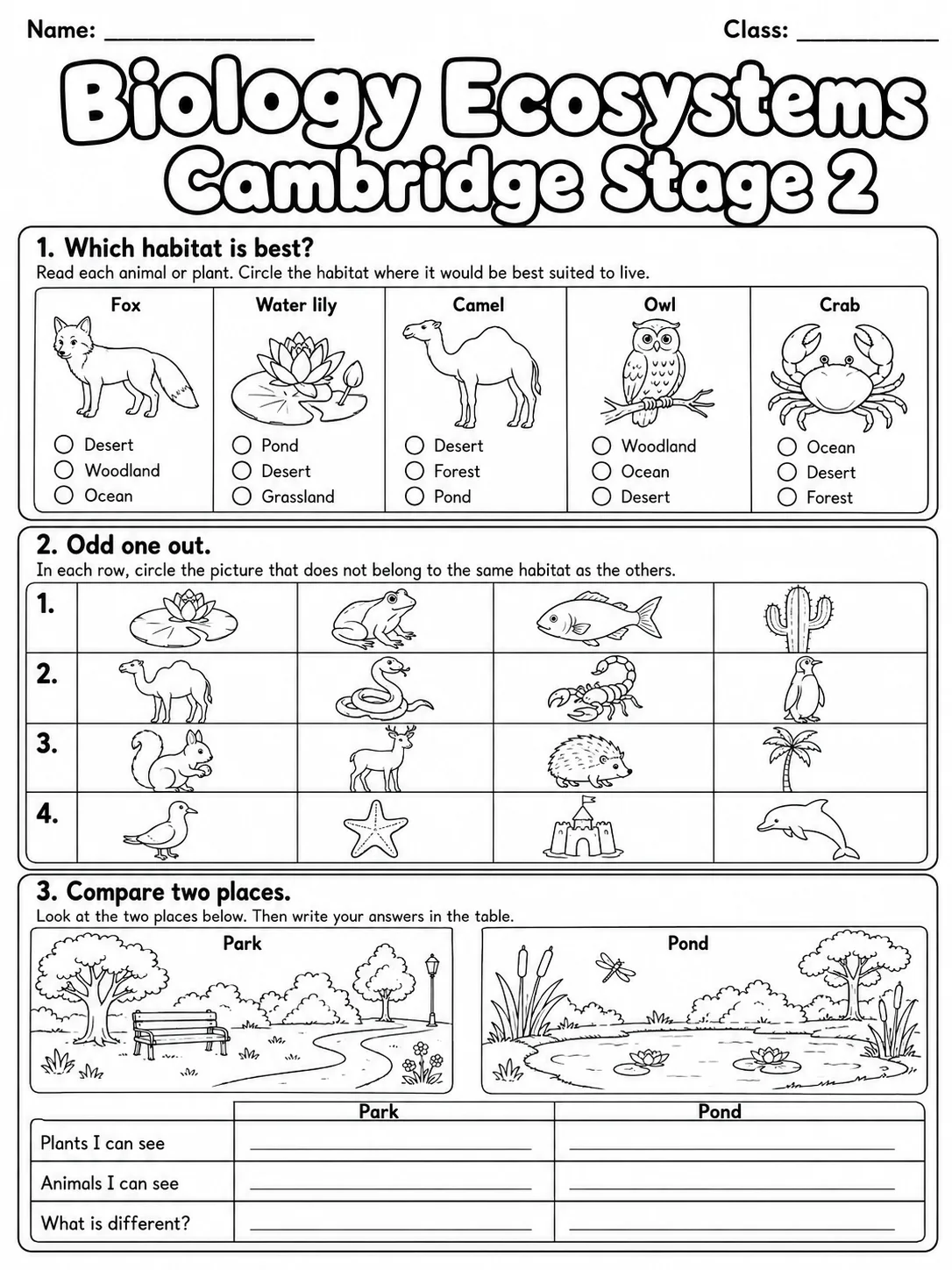 Biology Ecosystems Cambridge Stage 2 page 3 printable Cambridge science worksheet preview