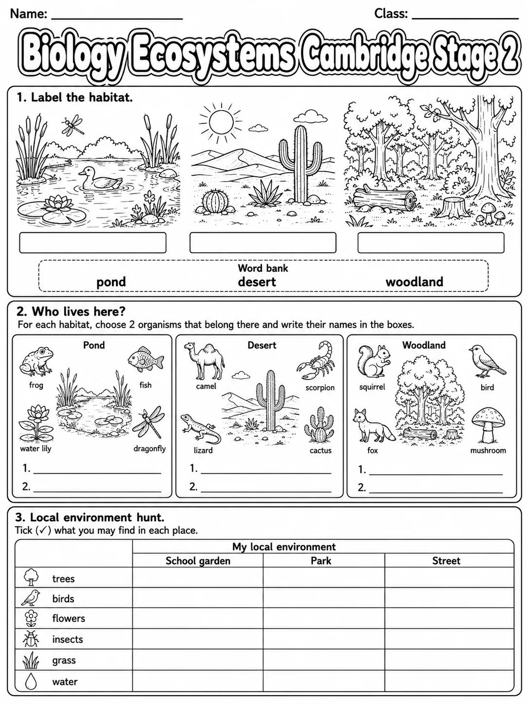 Biology Ecosystems Cambridge Stage 2 page 4 printable Cambridge science worksheet preview