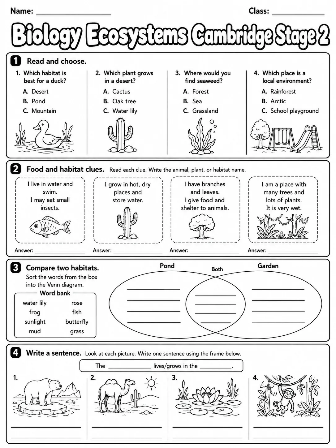 Biology Ecosystems Cambridge Stage 2 page 6 printable Cambridge science worksheet preview
