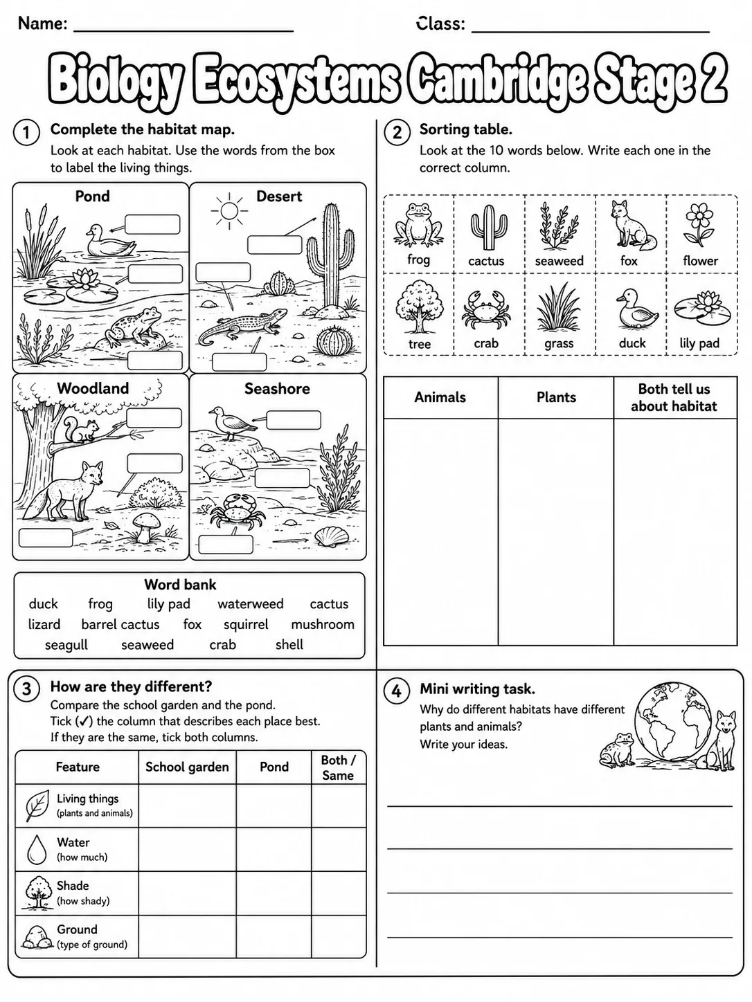 Biology Ecosystems Cambridge Stage 2 page 8 printable Cambridge science worksheet preview