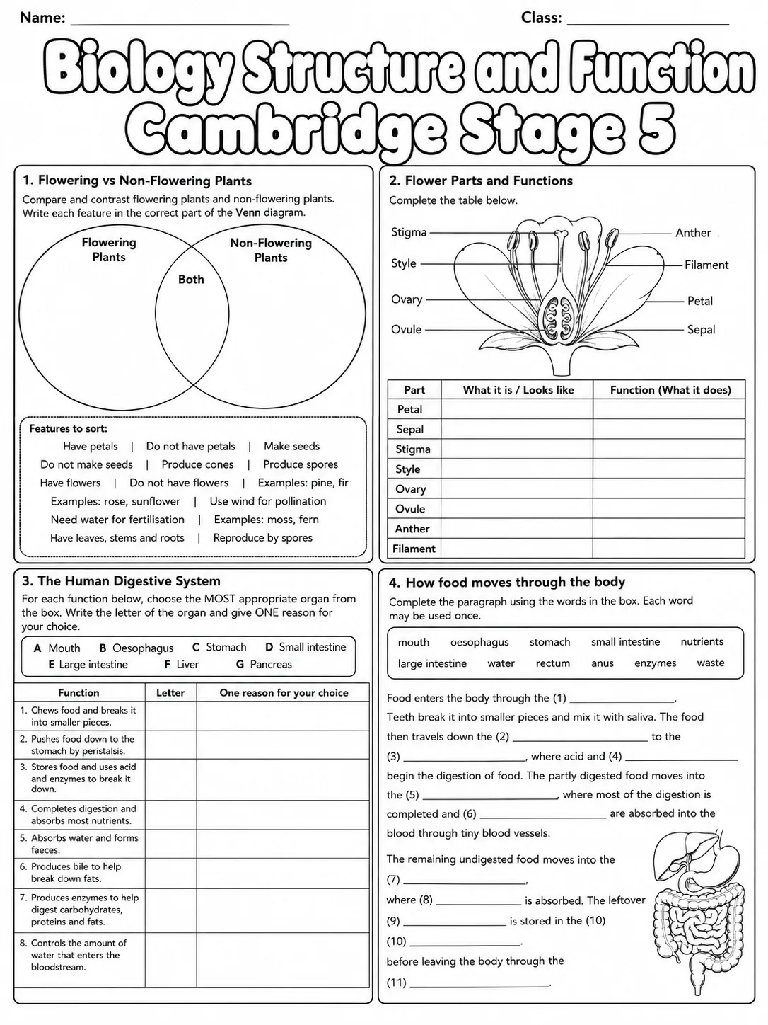 Biology Ecosystems Cambridge Stage 2 page 9 printable Cambridge science worksheet preview